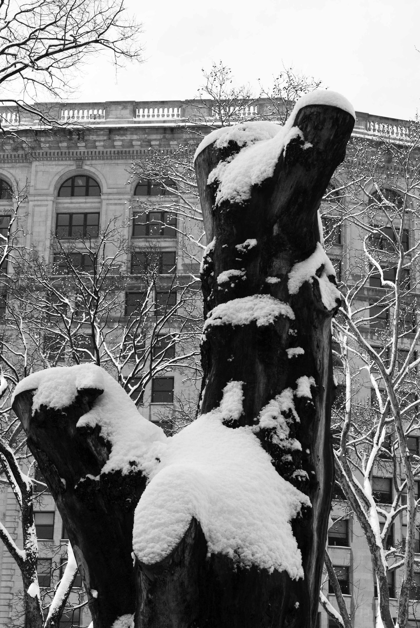 Alessandra Mattanza | DIVERSE, New York. Winter takes it's toll. Available as an art print or as a photographic print on acrylic glass.