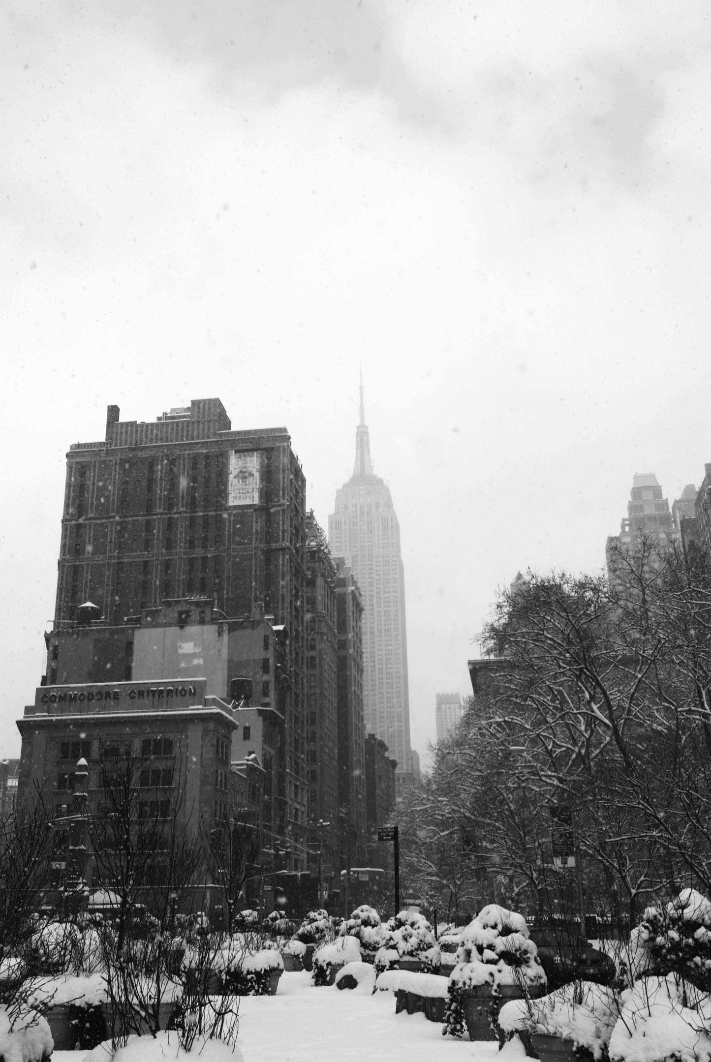 THE ELEGANCE OF SOLITUDE, New York