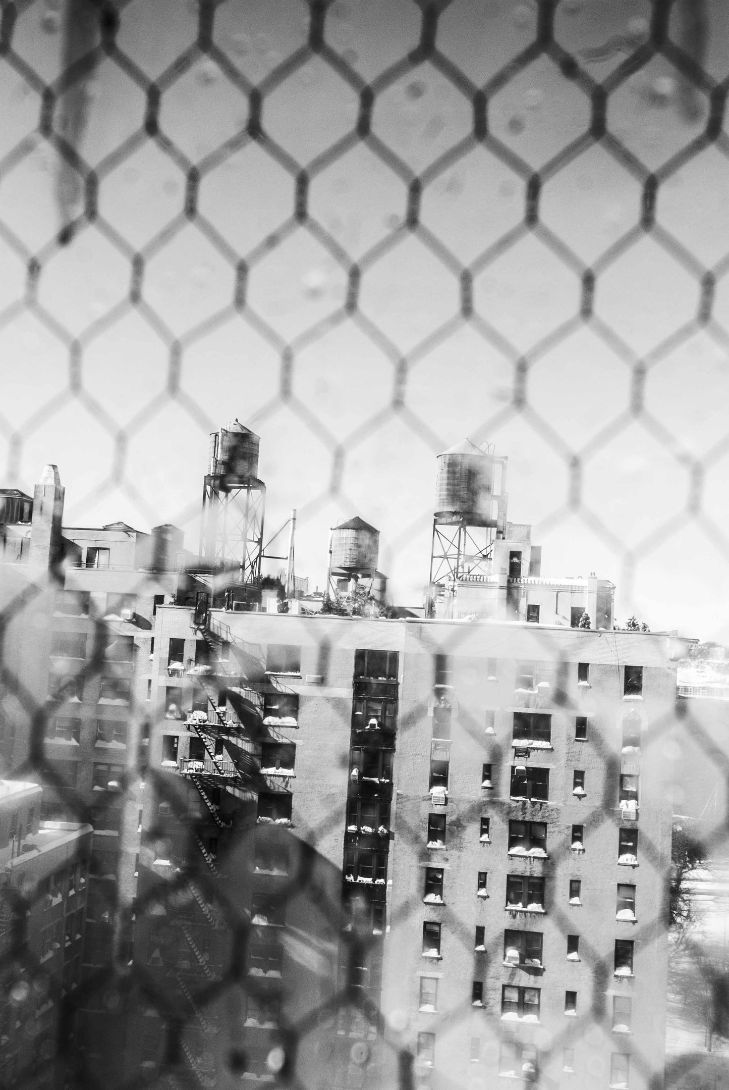 THE WORLD THROUGH ANOTHER VISION, New York