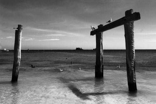 THE SILENCE - LIMITED EDITION with QUOTE, 59.4 × 84.1 cm