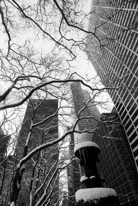 RISING, Bryant Park, New York