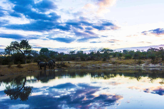 SOUTH AFRICA - LIMITED EDITION with QUOTE, 59.4 × 84.1 cm