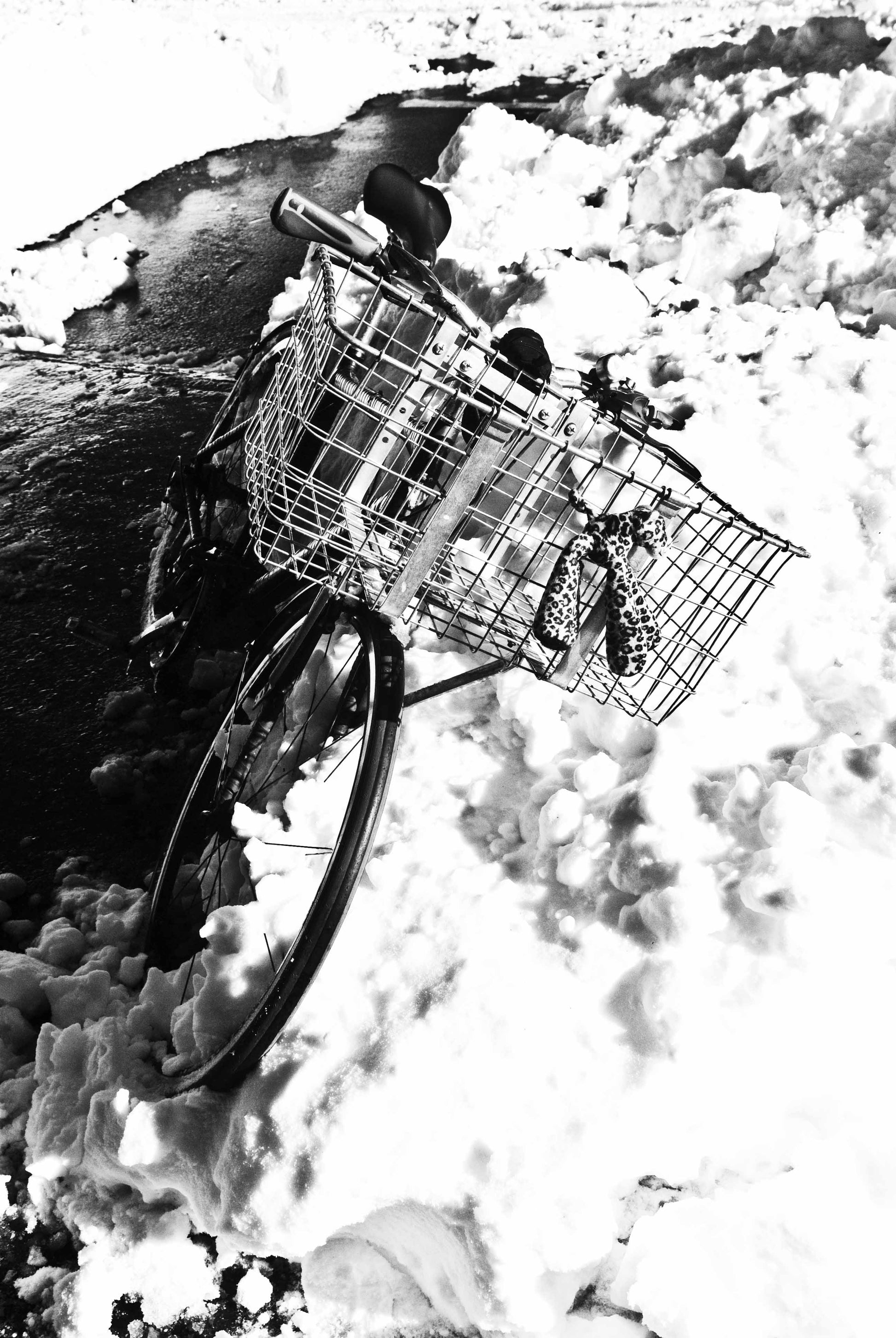 Some incongruous festive decorations adorn this abandoned bicycle