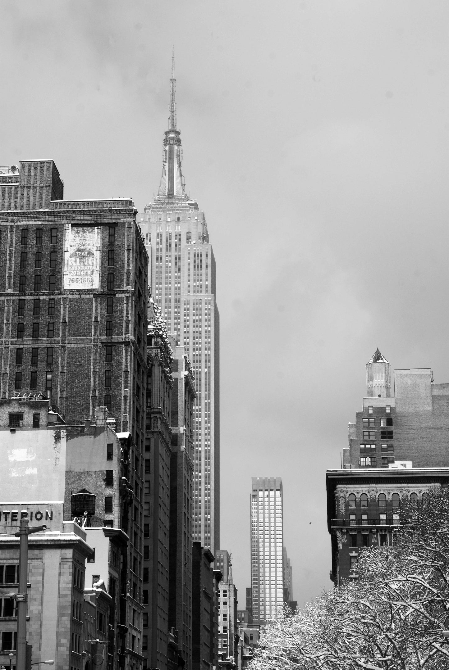 RISING TO THE SKY, Empire State Building, New York