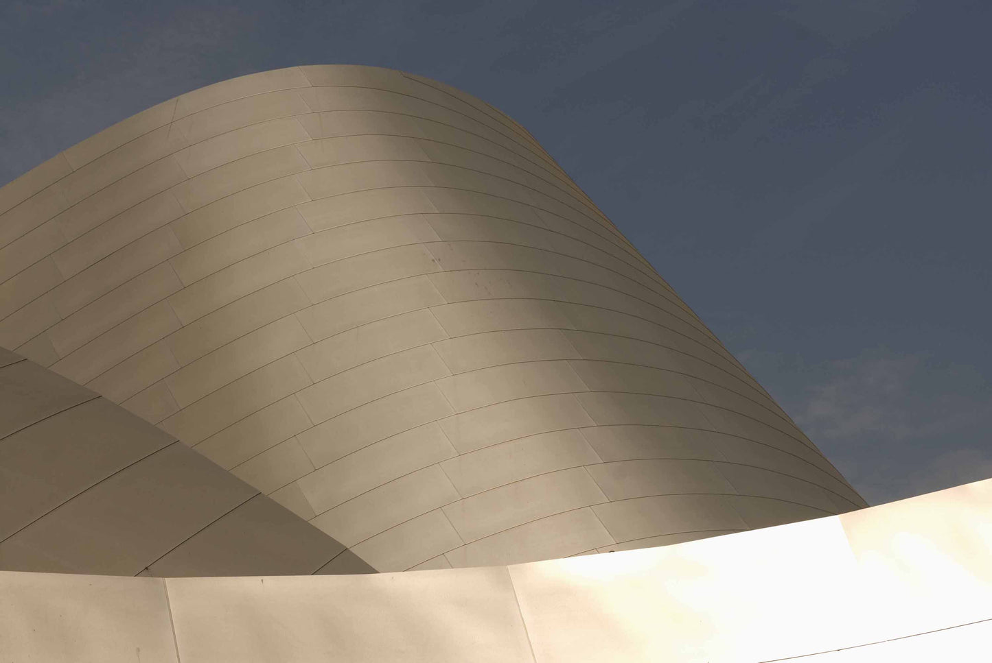 Alessandra Mattanza | LOS ANGELES - "The multitude of shades and shapes, the power of reinventing yourself"