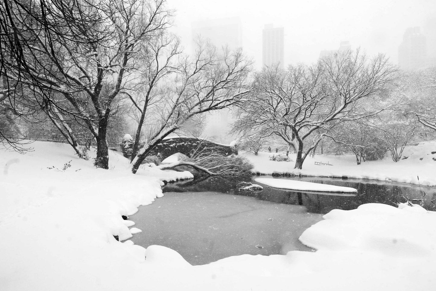 THE SURFACE, New York