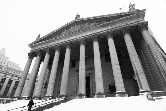 TAKE ACTION, County Courthouse Building, New York