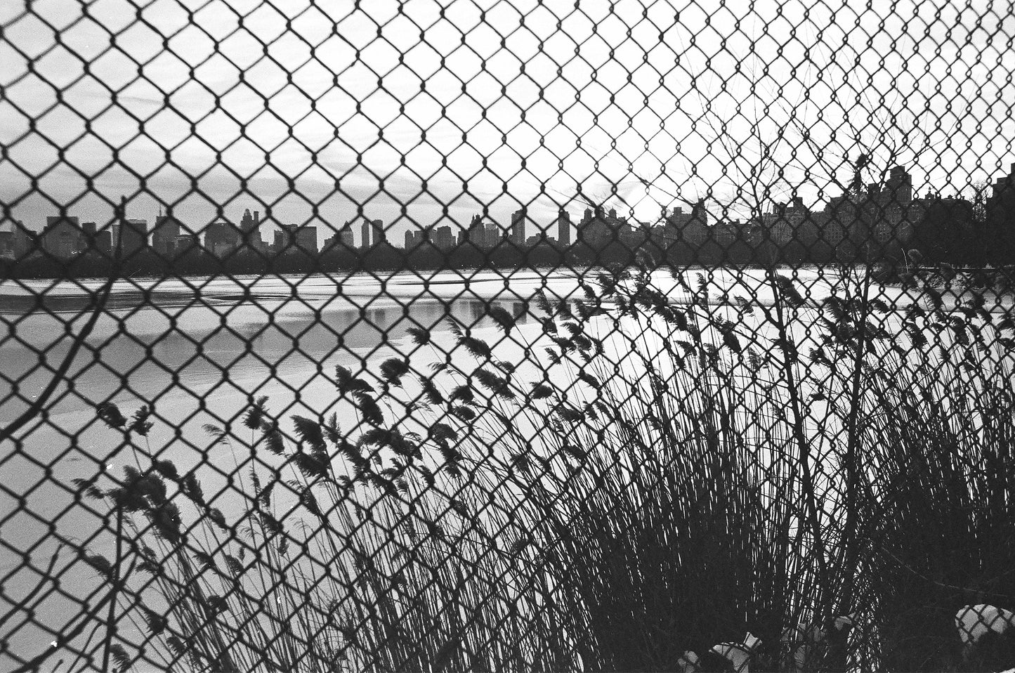 THROUGH THE FENCE, Central Park, New York