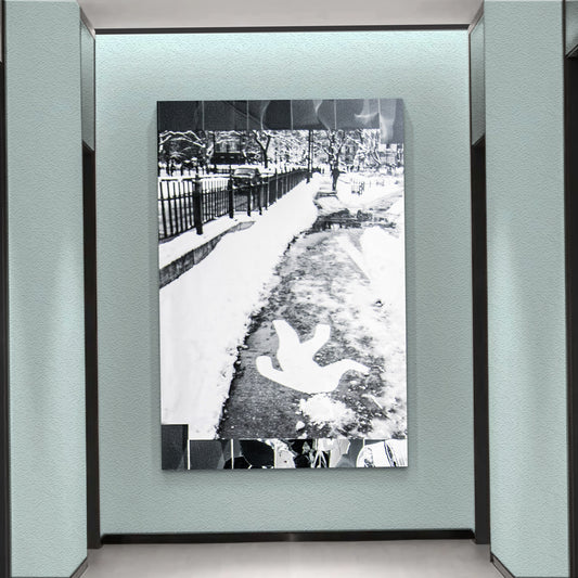 Alessandra Mattanza | CONTRASTS (2022) - Acrylic, plexiglass, photography on paper or canvas.