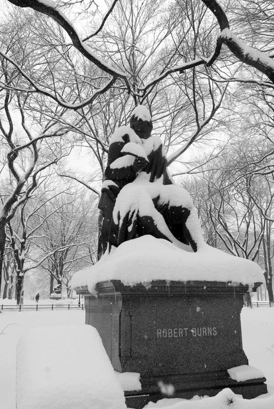 THE MIND, New York