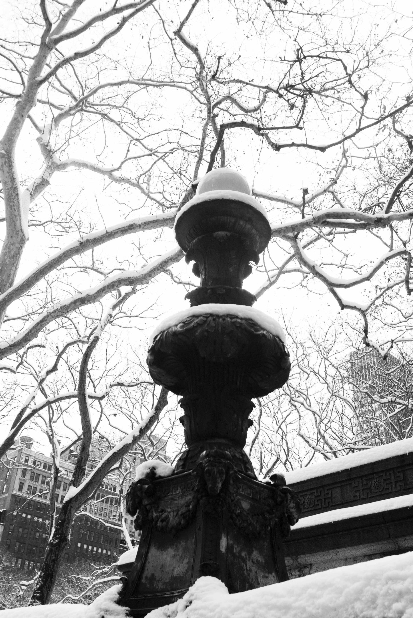 THE FREEDOM OF…, New York