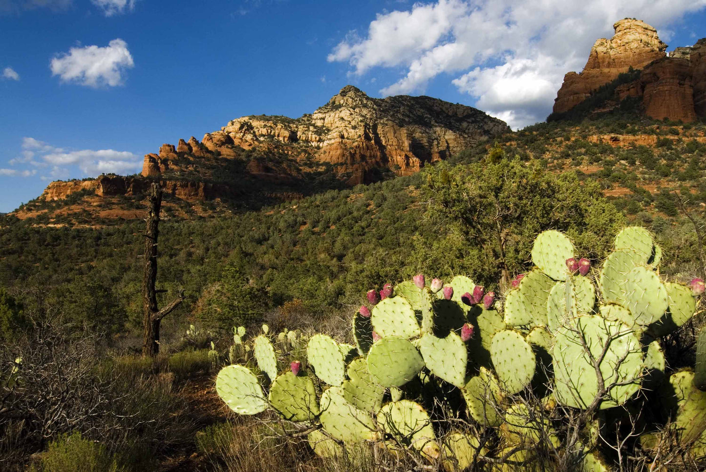 SEDONA - LIMITED EDITION with QUOTE, 59.4 × 84.1 cm