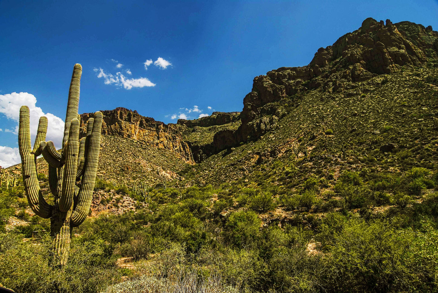 UPLIFTING, Apache Trail, Arizona, USA