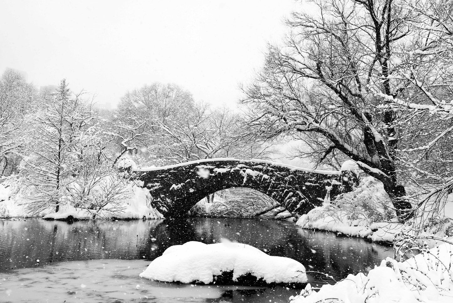 THE TEMPEST, Central Park, New York