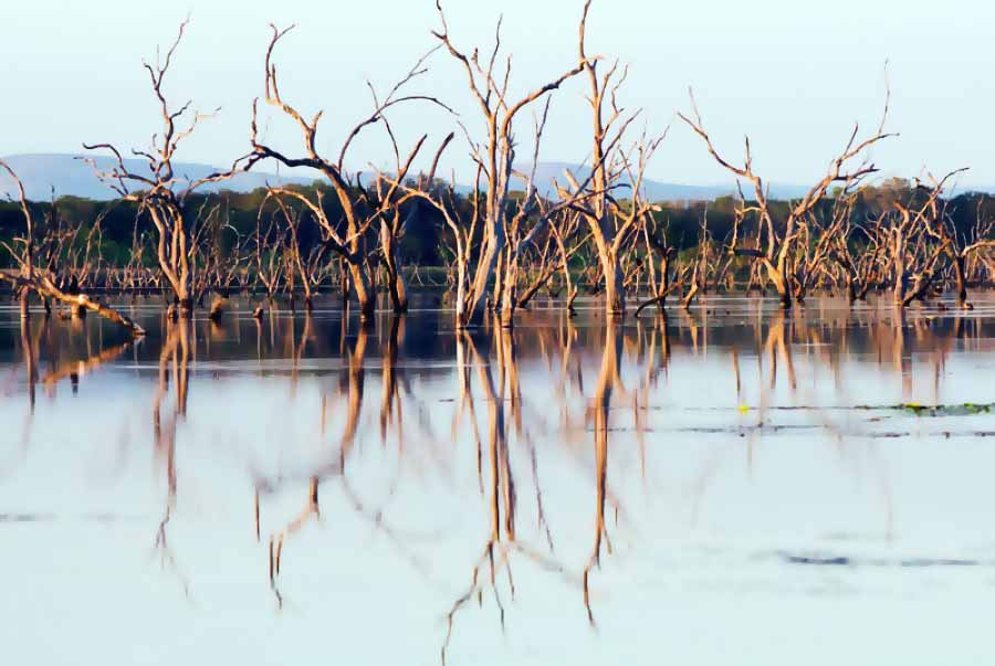 THE WATER - LIMITED EDITION with QUOTE, 59.4 × 84.1 cm