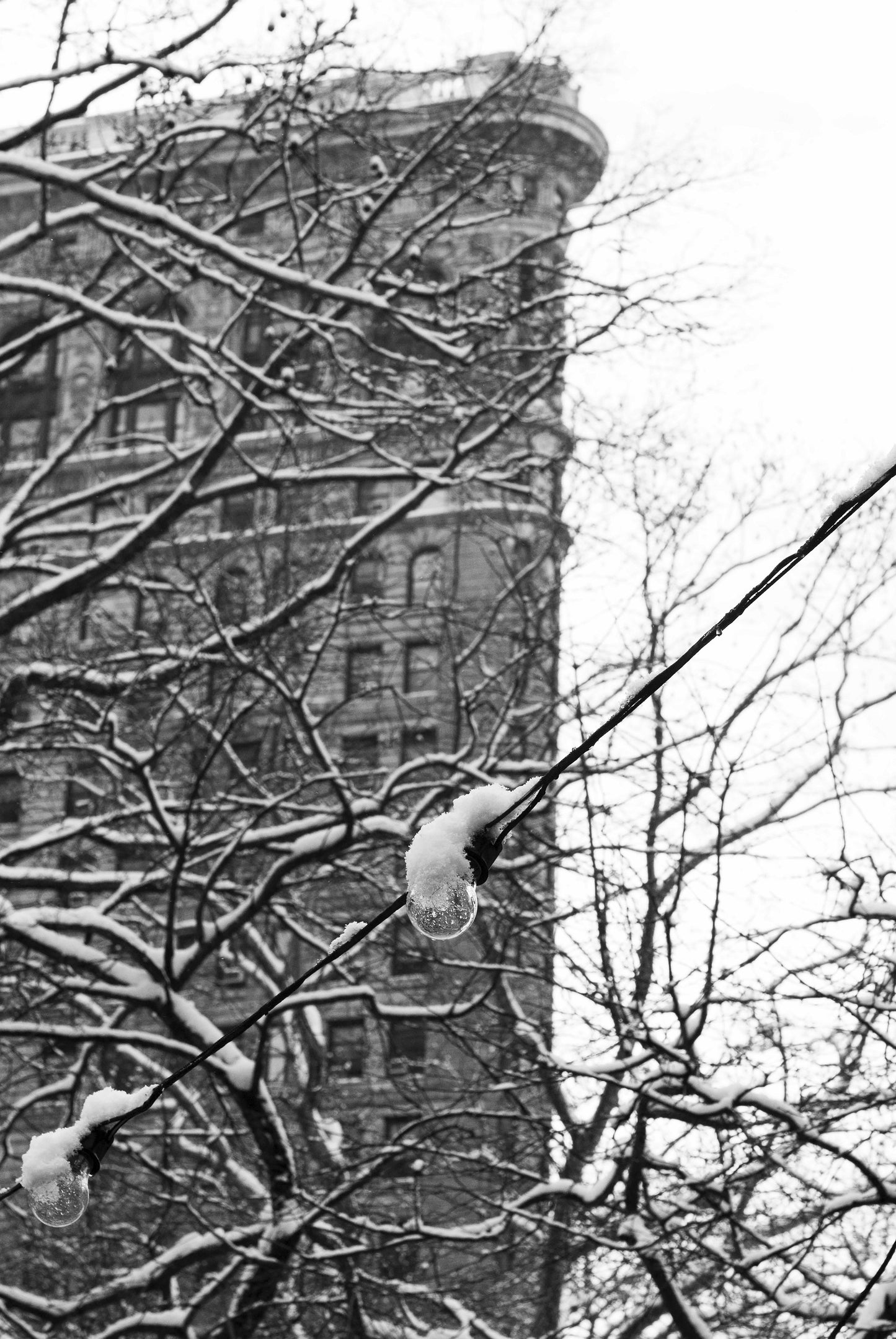 The Flatiron Building is the backdrop for snowy festive lights.