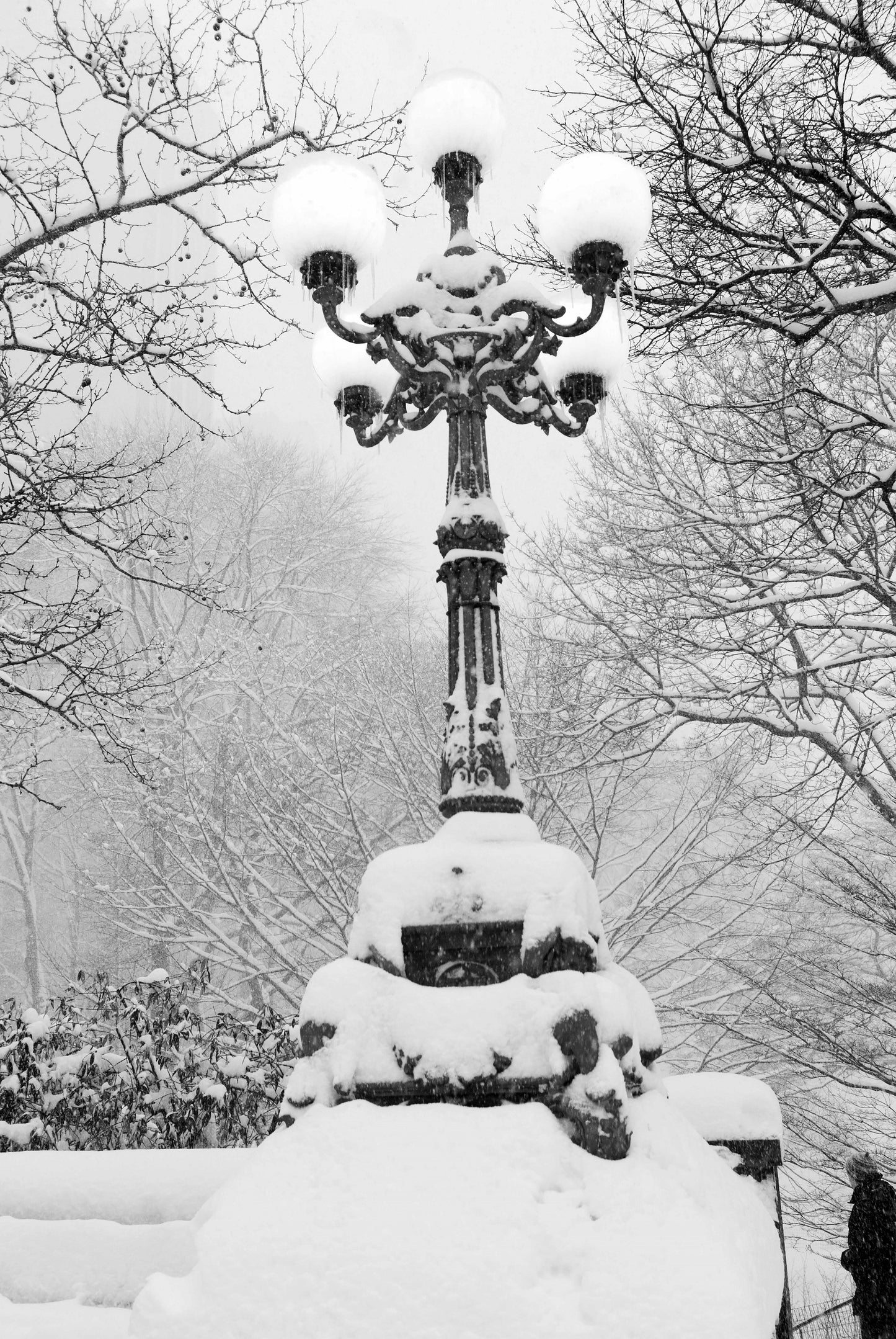 Alessandra Mattanza | HOPE, Central Park, New York.  Available as a black and white photographic print on clear acrylic.