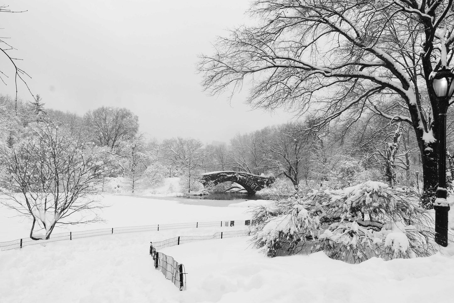 PEACEFUL, Central Park, New York