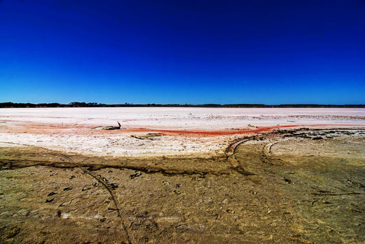 SOLITUDE OF LINES, Australia