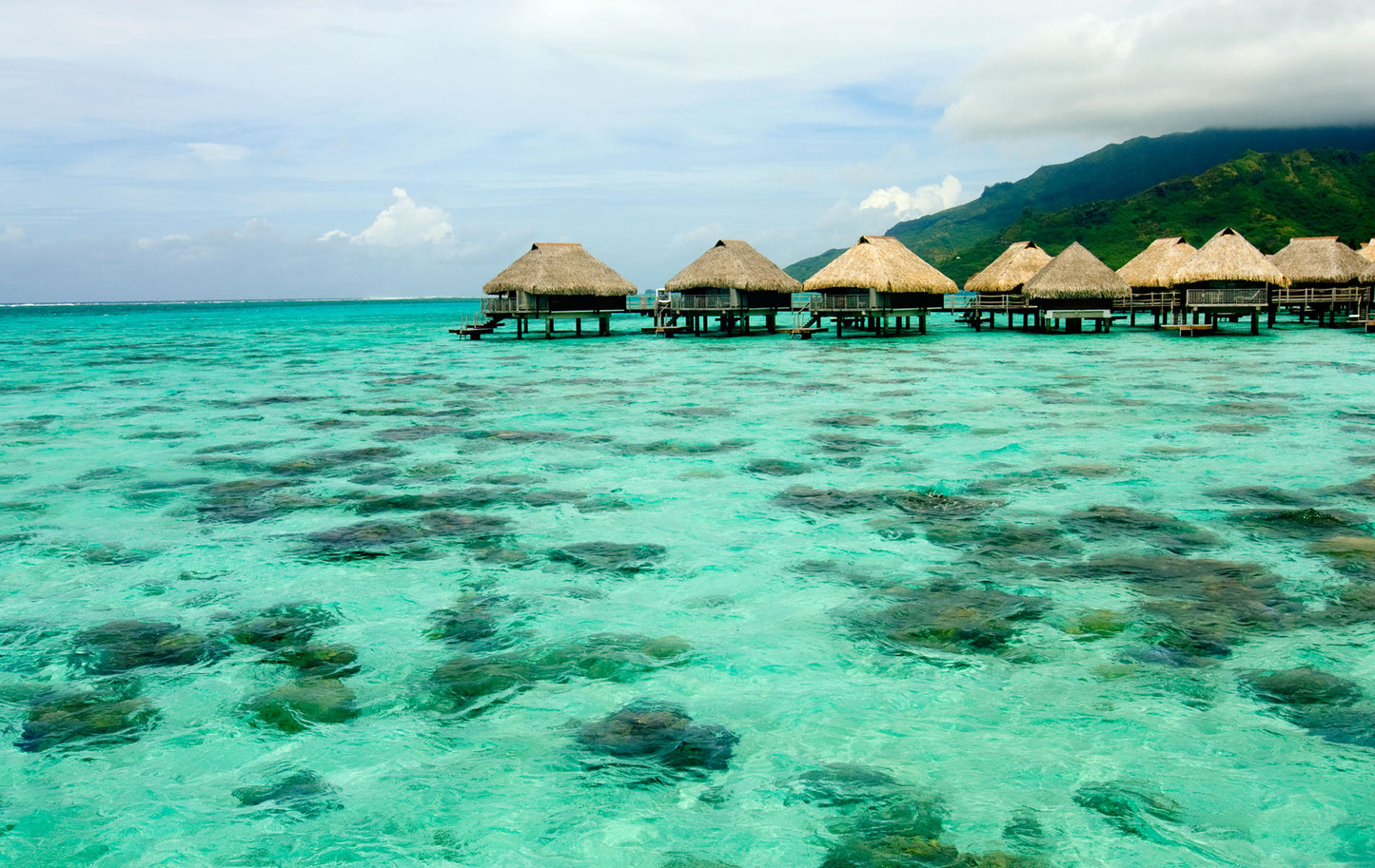 Alessandra Mattanza | FRENCH POLYNESIA "An arabesque of blue and green sea, legends, and myths"