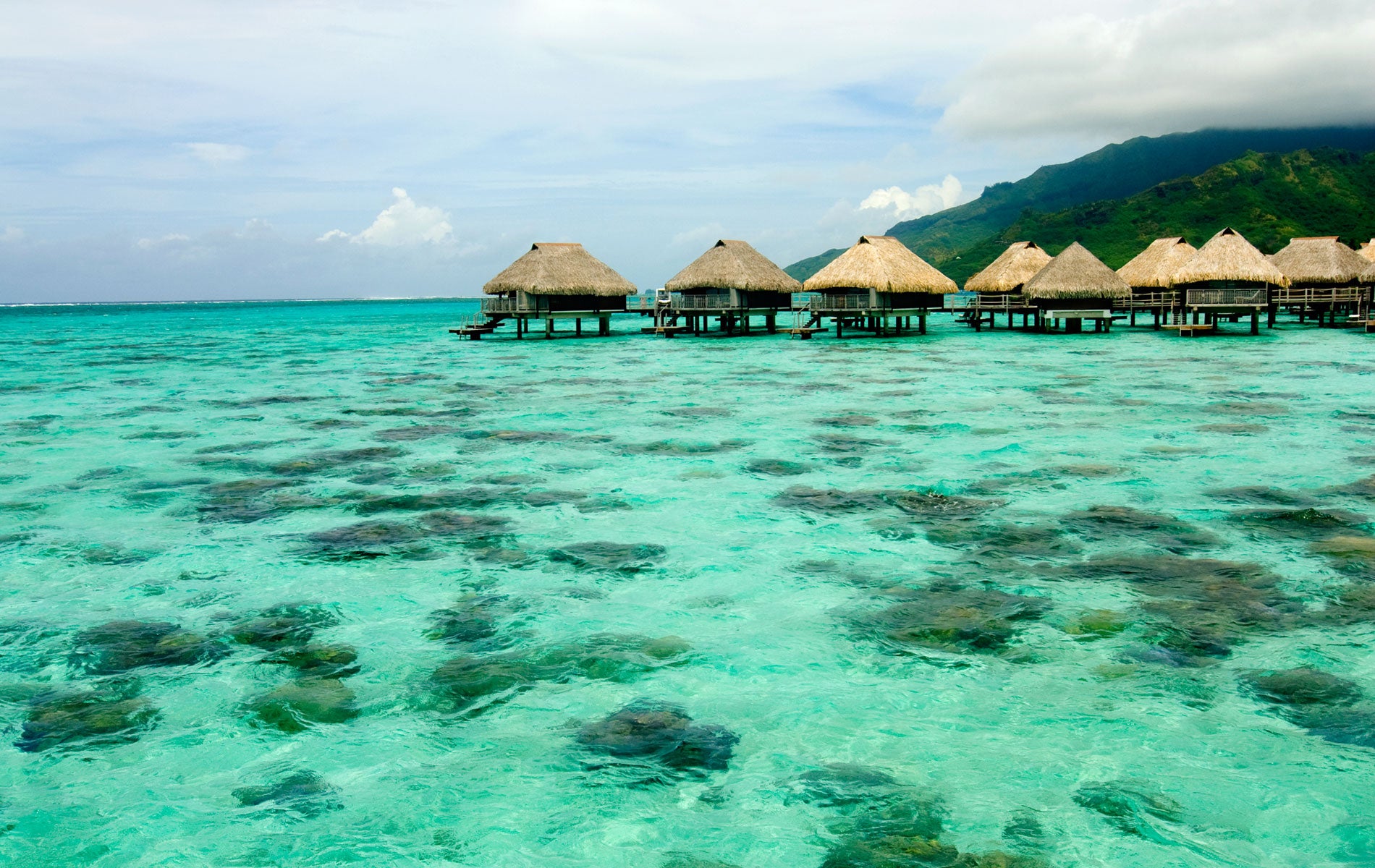 Alessandra Mattanza | FRENCH POLYNESIA "An arabesque of blue and green sea, legends, and myths"