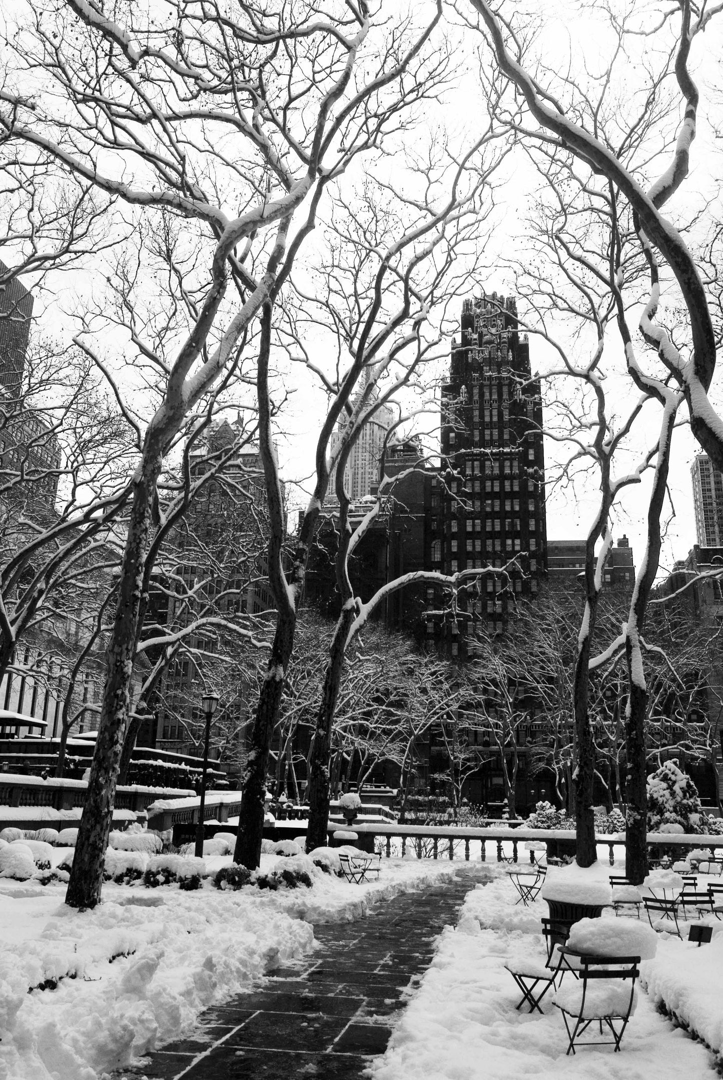 VISION, Bryant Park, New York