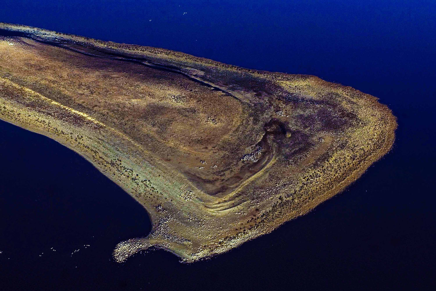 ADVENTURE - LIMITED EDITION with QUOTE, 59.4 × 84.1 cm