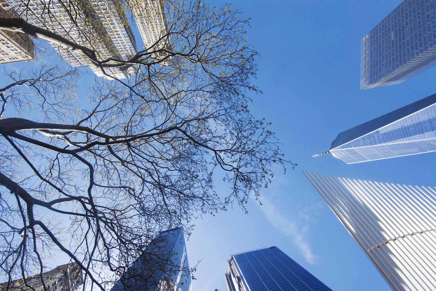 THE SKY - LIMITED EDITION with QUOTE, 59.4 × 84.1 cm