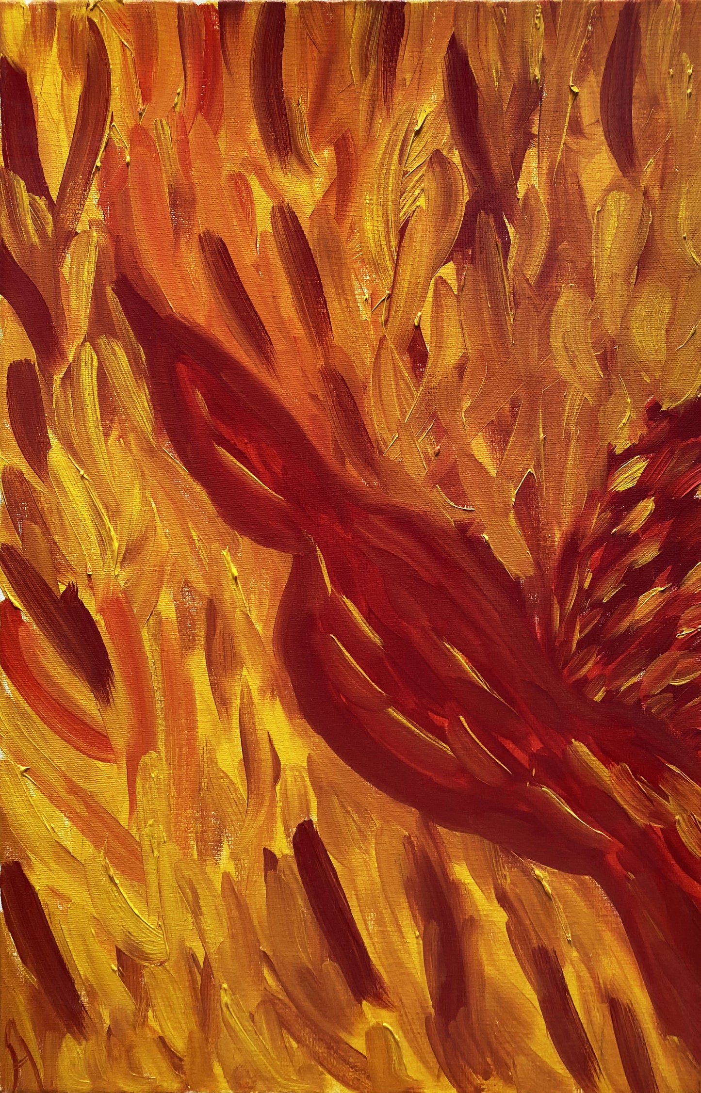 Alessandra Mattanza | EVERGLADES, 11.8 x 15.7 in - Oil on Canvas