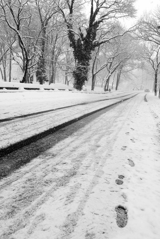 Alessandra Mattanza | FOLLOWING A PAST PRESENCE, Central Park, New York. A trail of footsteps in the snow of a Central Park winter scene. Available as a photographic print on acrylic glass.