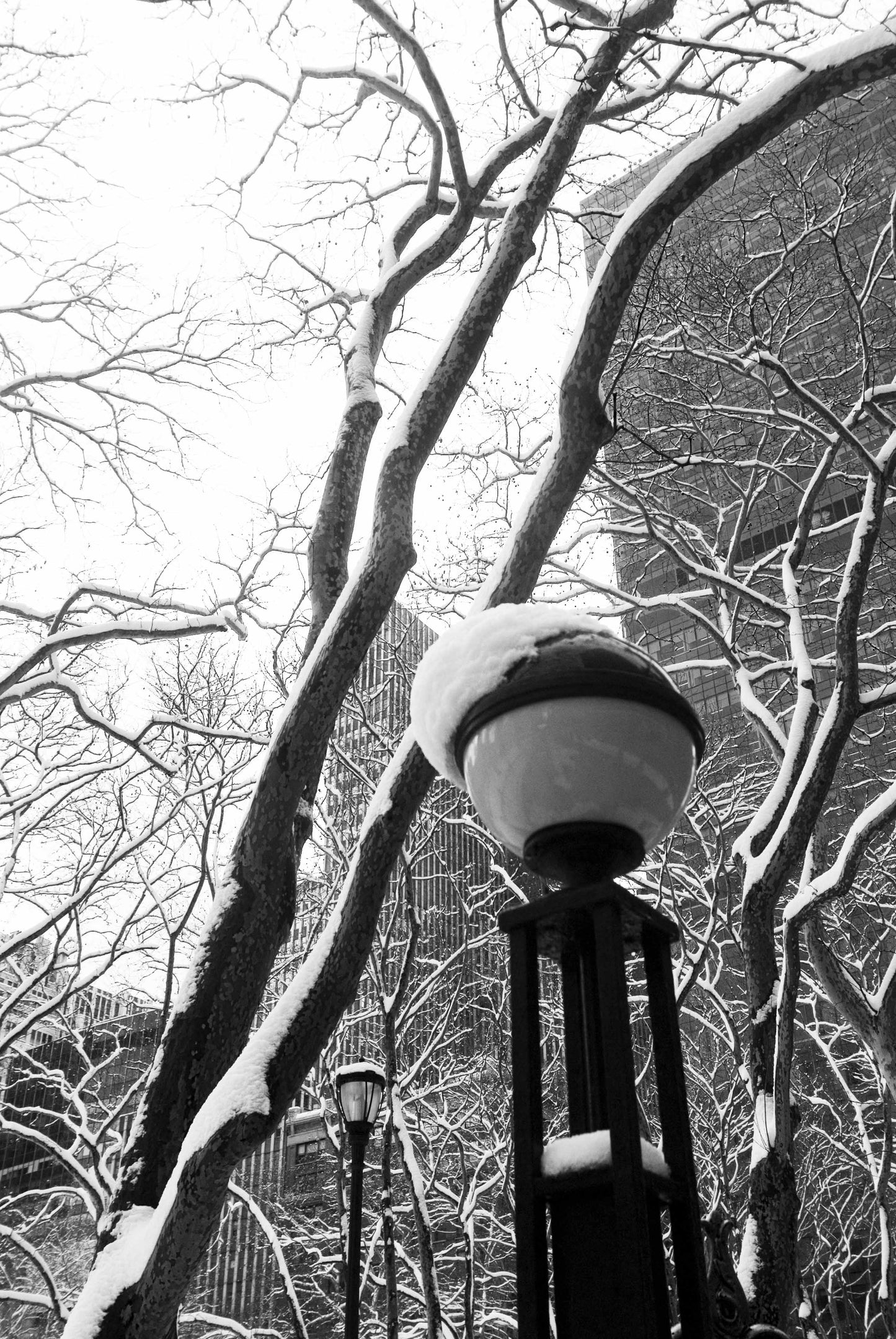 SNOW POWER ON THE STREET, New York