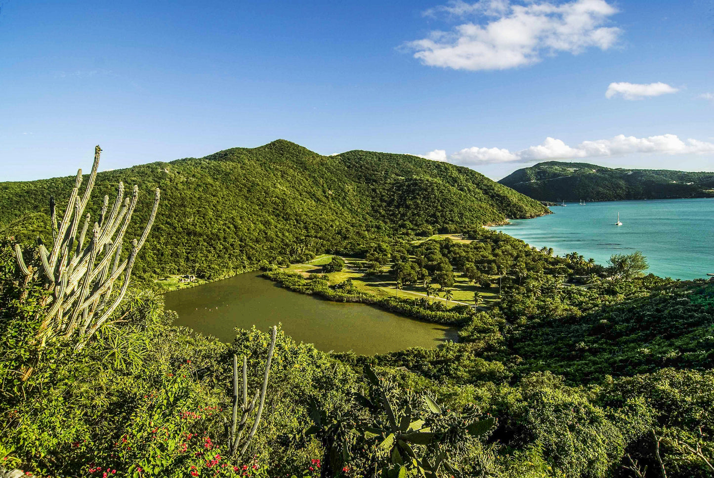 Alessandra Mattanza | CONCERT OF EMERALD, Guana Island, British Virgin Islands. Guana remains the most unspoiled jewel of the British Virgin Islands. Available as an art print or as a photographic print on acrylic glass.