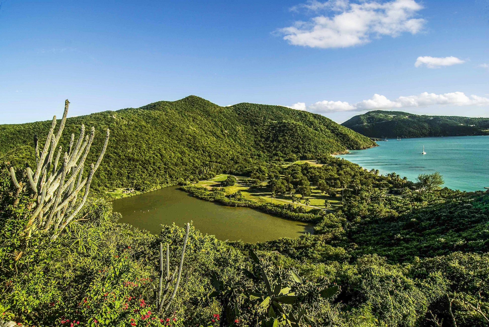 Alessandra Mattanza | CONCERT OF EMERALD, Guana Island, British Virgin Islands. Guana remains the most unspoiled jewel of the British Virgin Islands. Available as an art print or as a photographic print on acrylic glass.