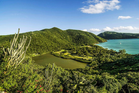 Alessandra Mattanza | CONCERT OF EMERALD, Guana Island, British Virgin Islands. Guana remains the most unspoiled jewel of the British Virgin Islands. Available as an art print or as a photographic print on acrylic glass.