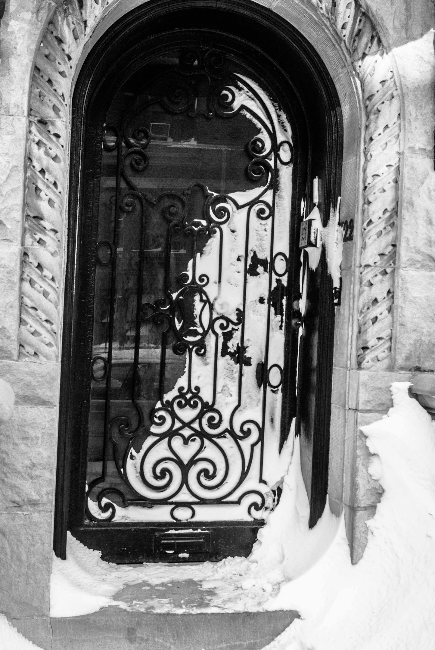 TREE VIEW, Bryant Park, New York