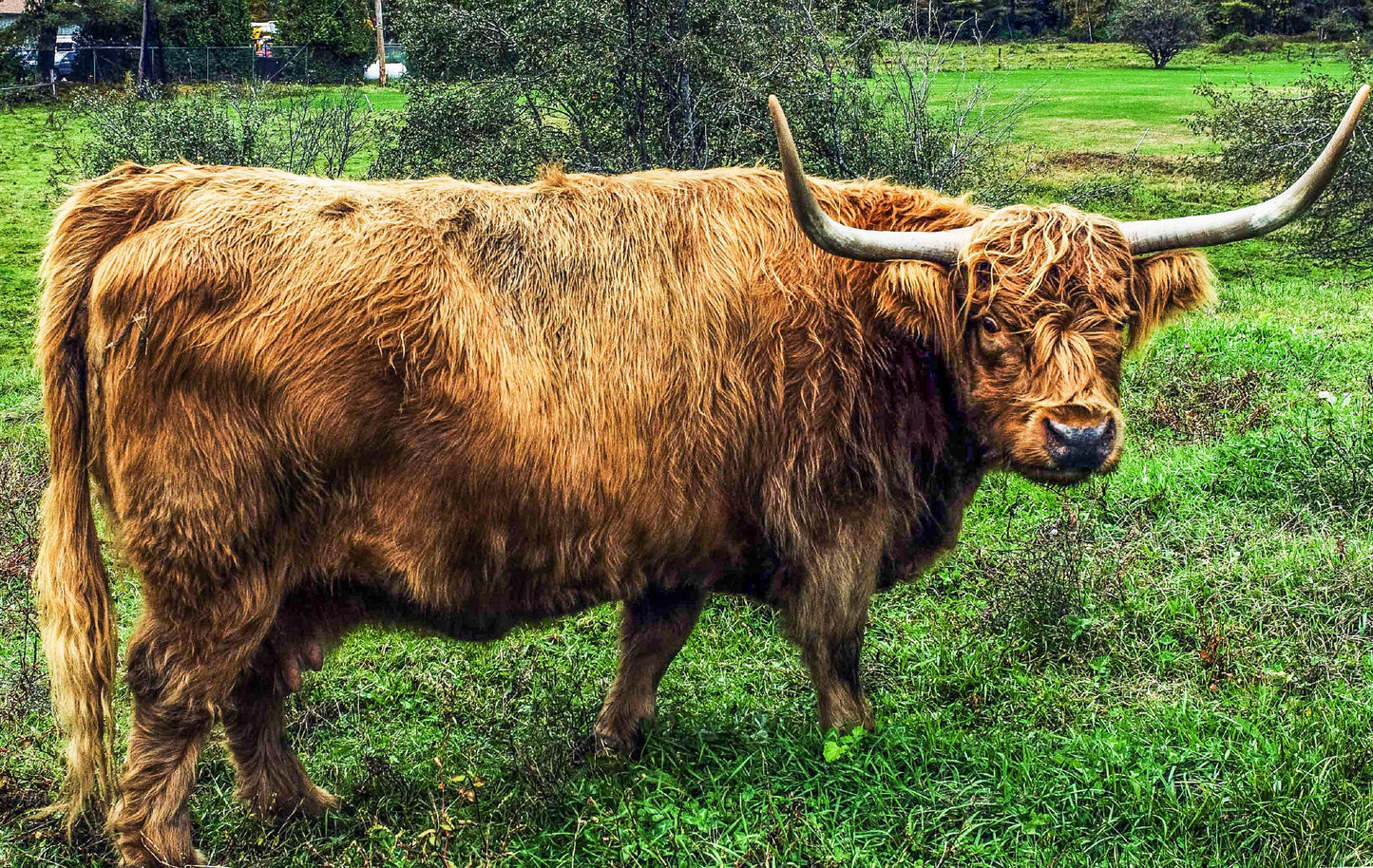 PROUD TO BE, New Hampshire, USA