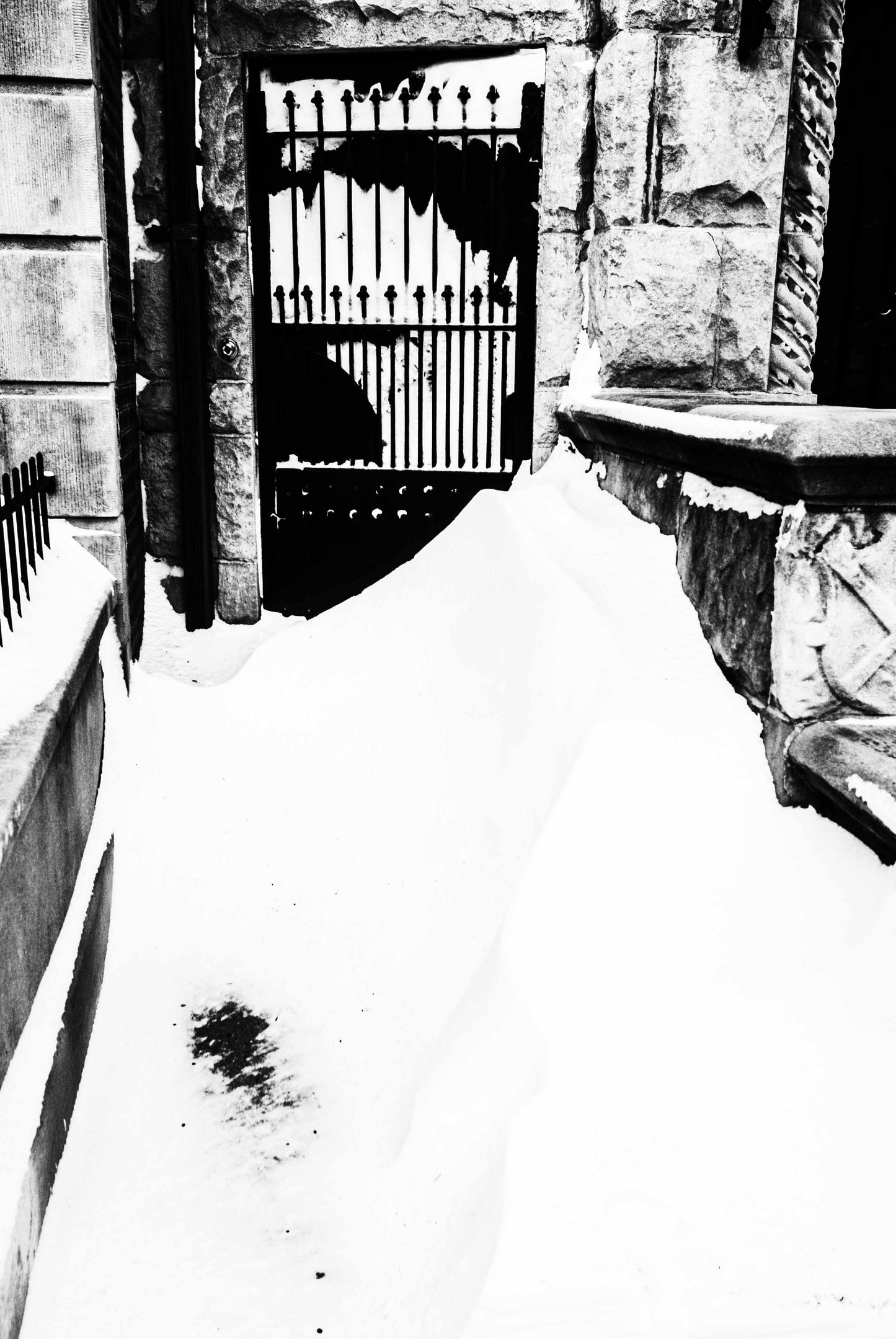 SNOW FIGHT OF HOPE, New York