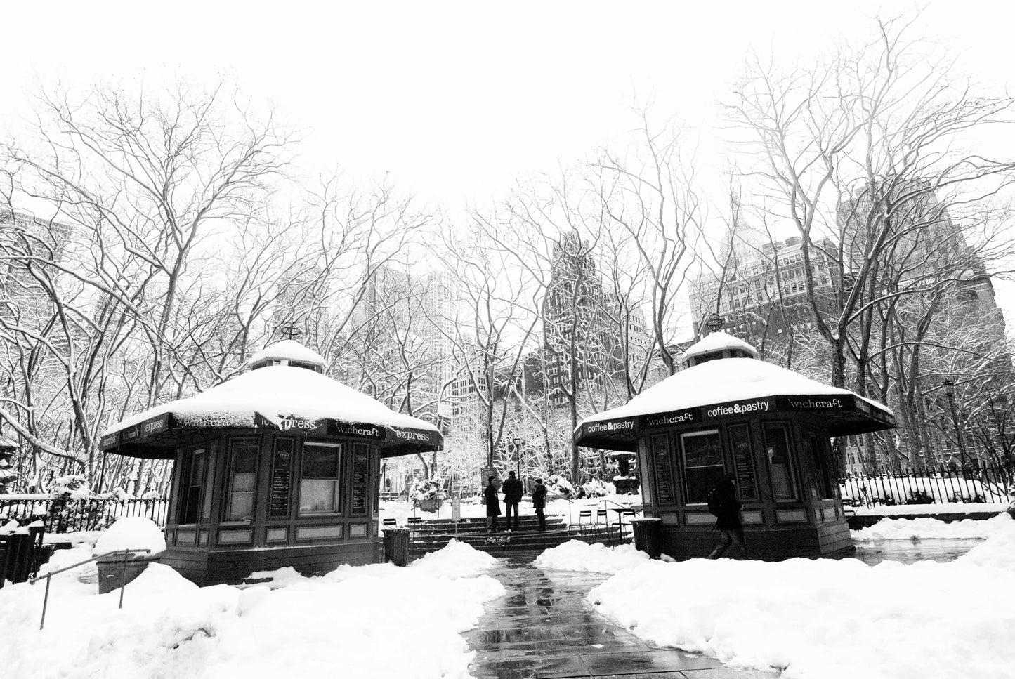 THE FREEDOM OF THE SNOW, New York