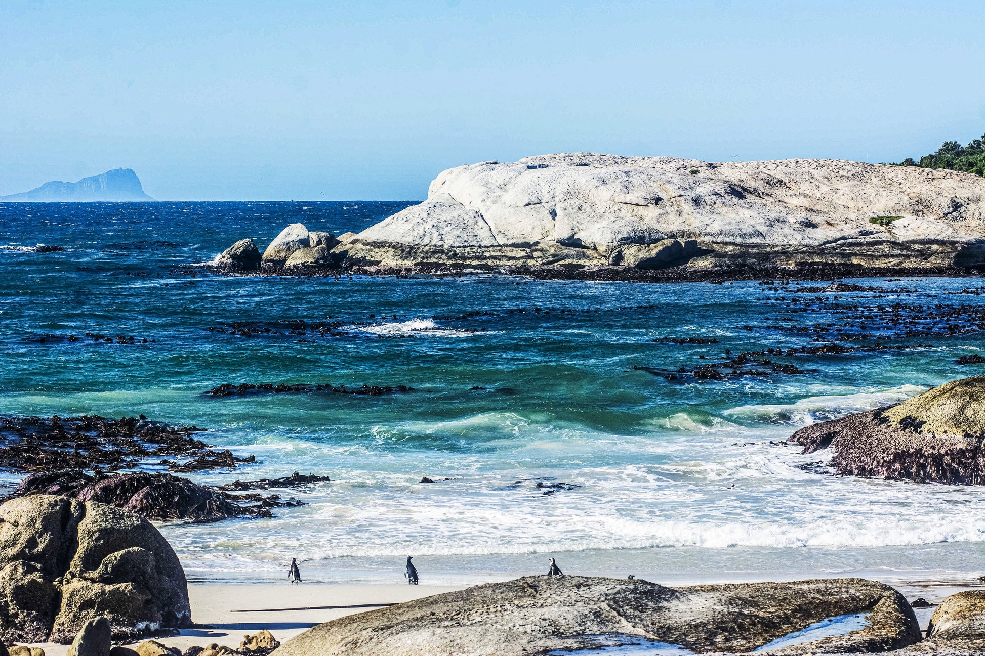 Alessandra Mattanza | BOLD, Cape Peninsula, South Africa. The rugged Cape Peninsula. Available as an art print or as a photographic print on acrylic glass.