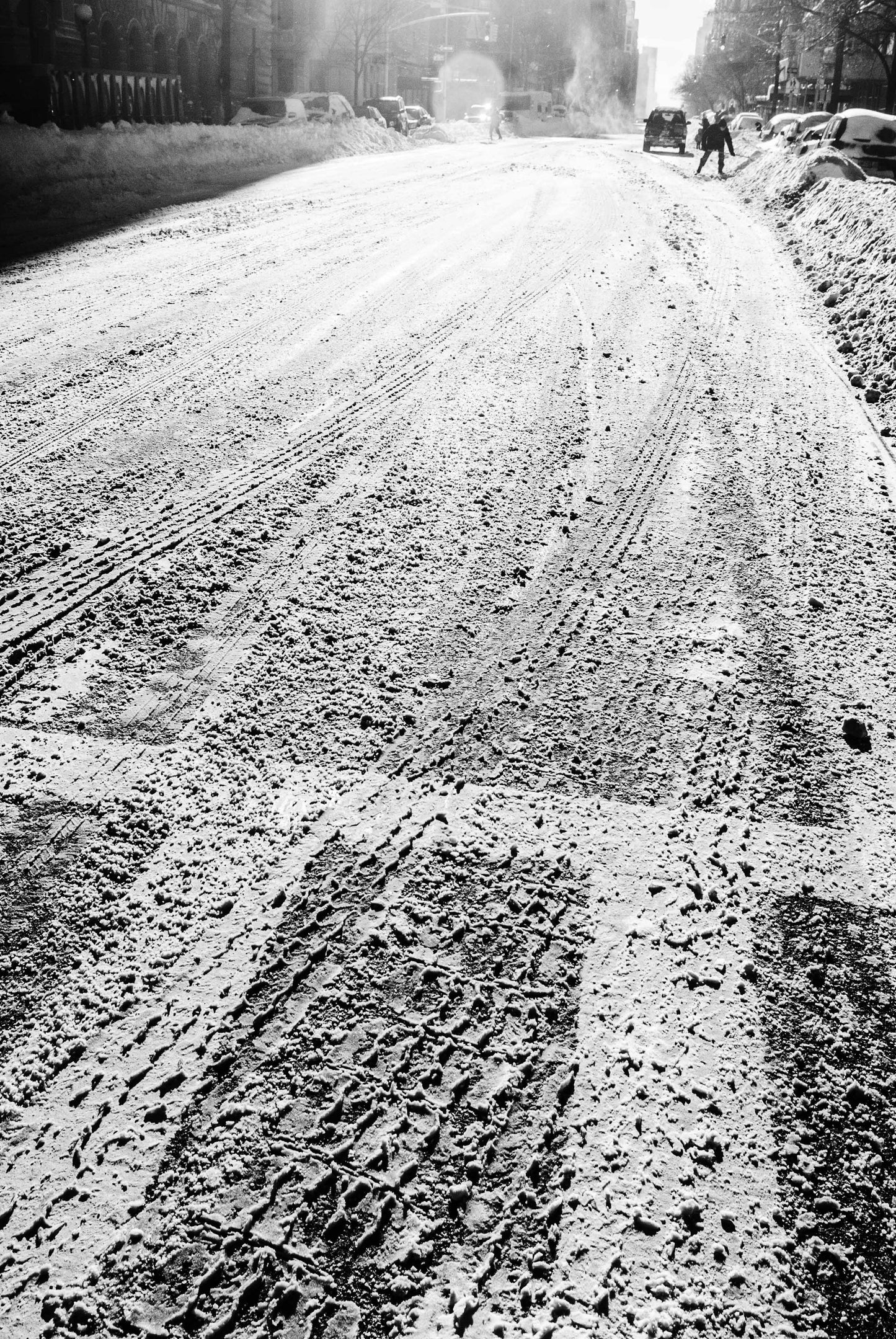 THE DIVERSITY OF SNOW, New York