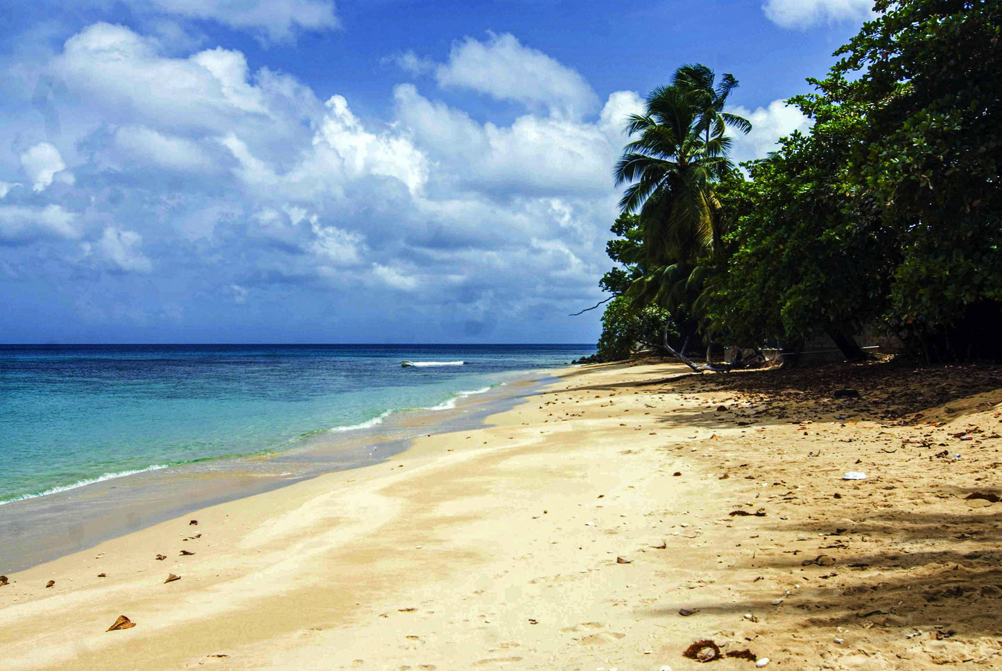 PRISTINE SHORE, Barbados