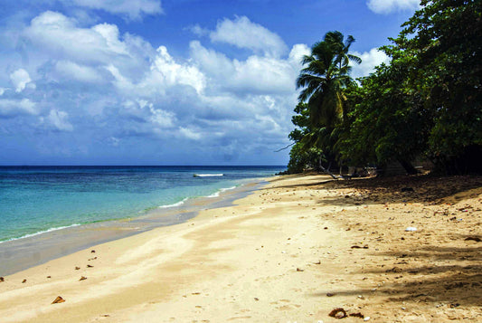 PRISTINE SHORE, Barbados
