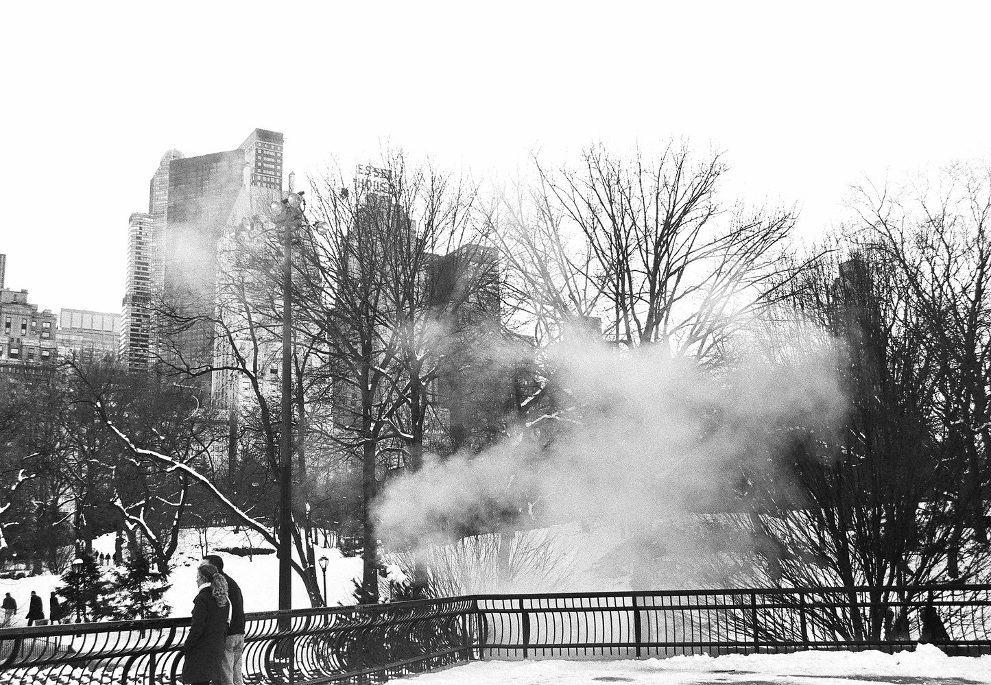 PERSPECTIVE, Central Park, New York