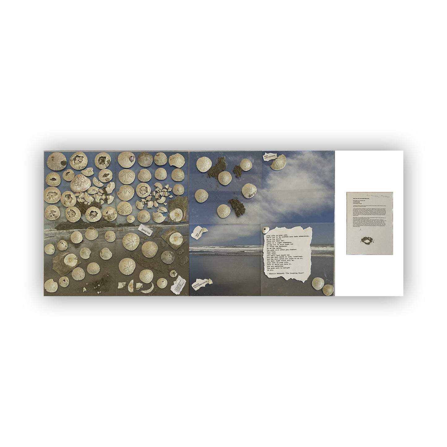 SAND DOLLARS ARE SOMETIMES SAID... - OCEAN BEACH, SAN FRANCISCO