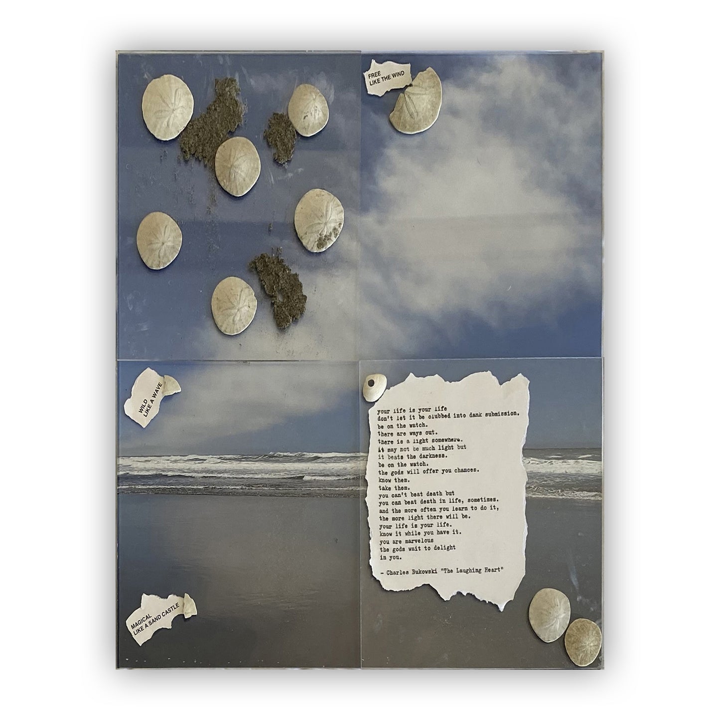 SAND DOLLARS ARE SOMETIMES SAID... - OCEAN BEACH, SAN FRANCISCO