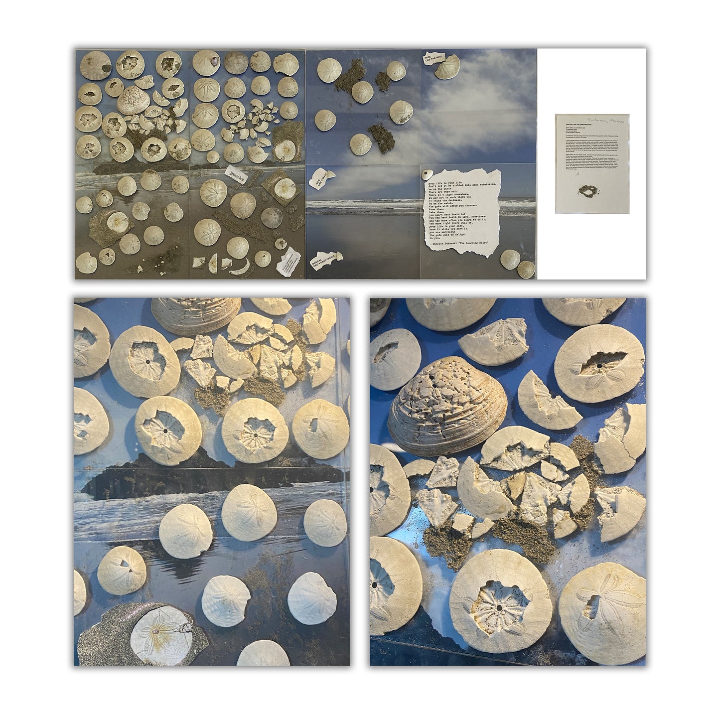 SAND DOLLARS ARE SOMETIMES SAID... - OCEAN BEACH, SAN FRANCISCO