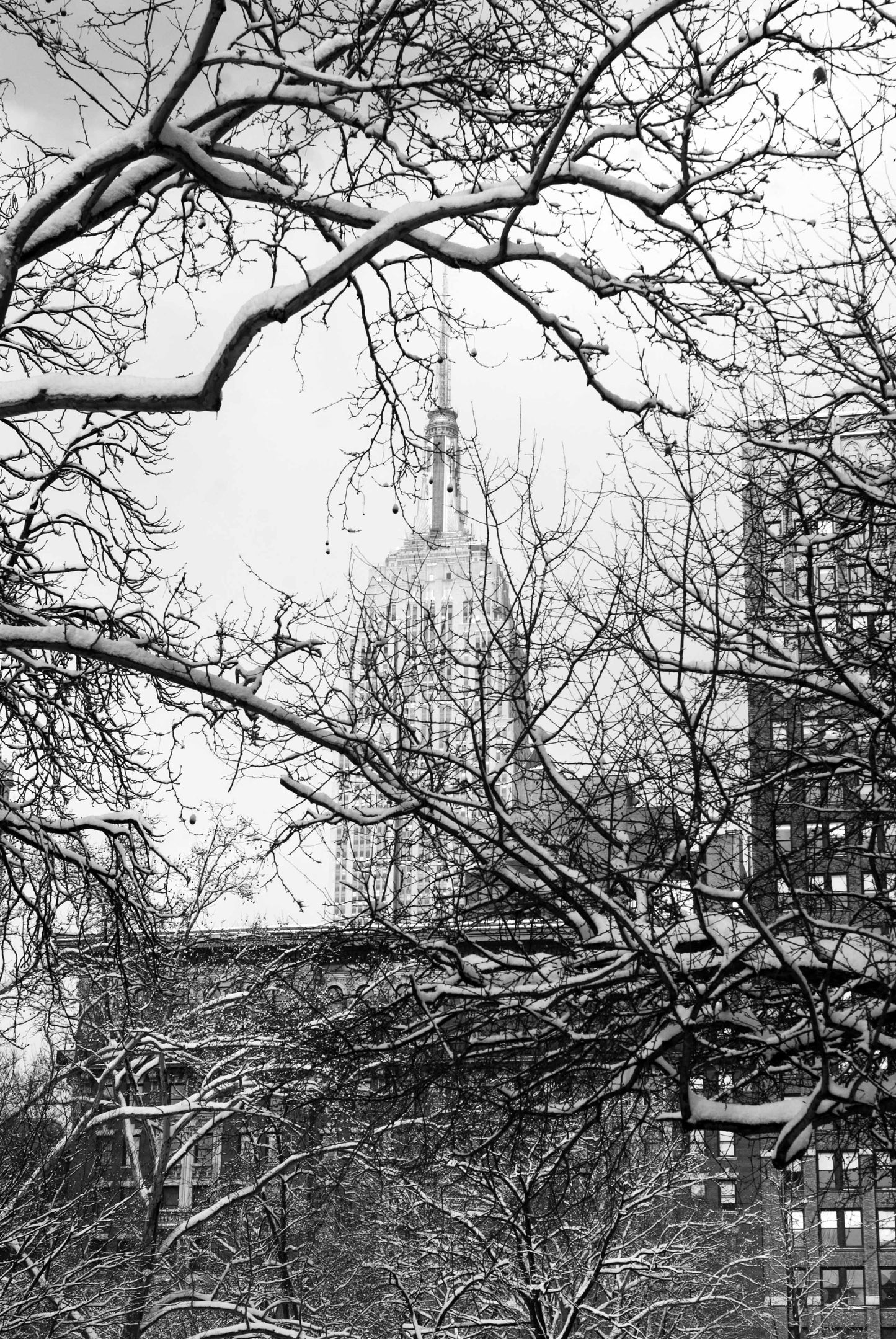 Alessandra Mattanza | CONTRASTS, Empire State Building, New York. The bare snow-laden branches of trees in Bryant Park overlay the iconic Empire State Building. Available as an art print or as a photographic print on acrylic glass.