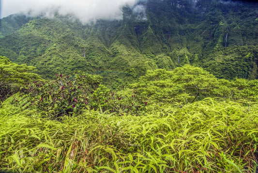 MISTY MOUNTAINS, Tahiti, French Polynesia