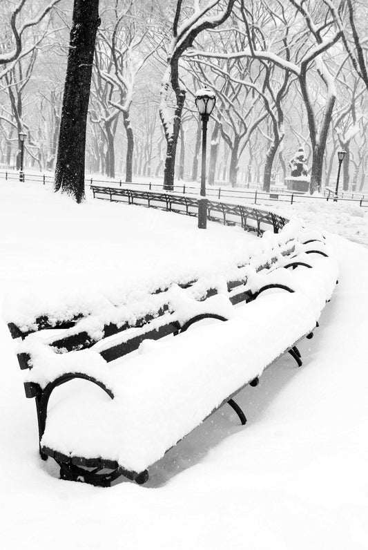 A wintery scene of a snow-covered bench in New Yorks Central Park. Available as a black and white photographic print on clear acrylic.