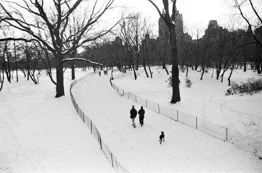 TOGETHER, Central Park, New York
